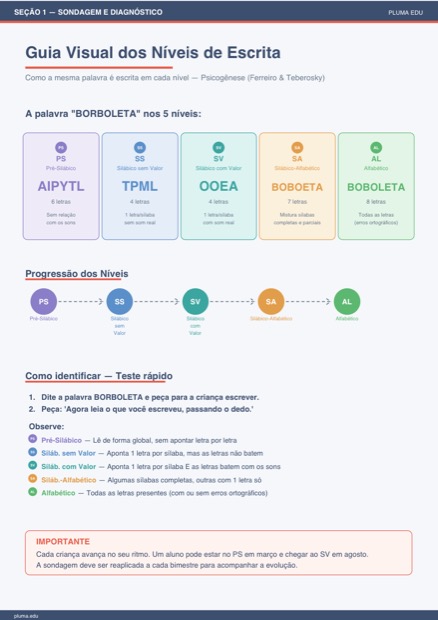 Prévia: Guia Visual dos Níveis da Escrita