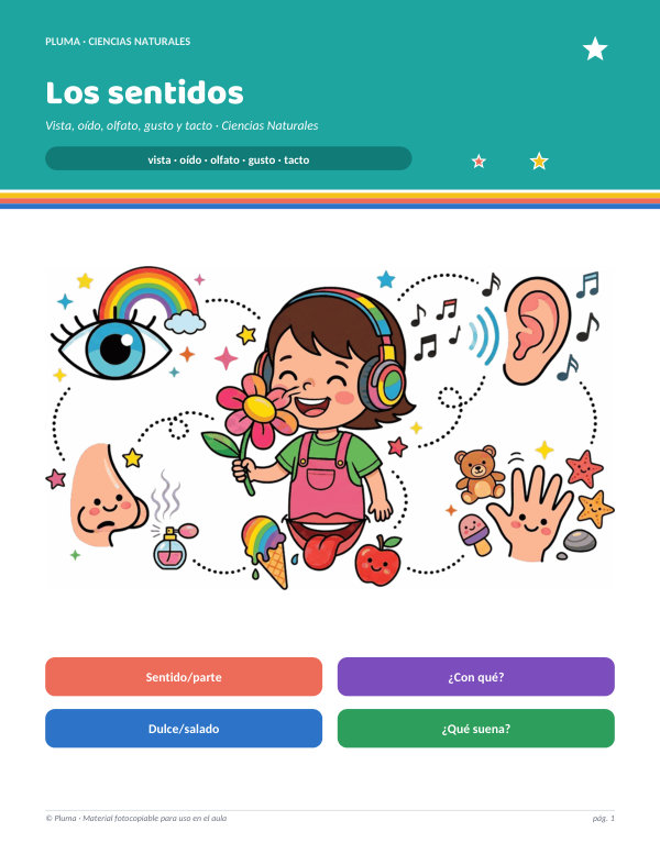 Vista previa: Los cinco sentidos