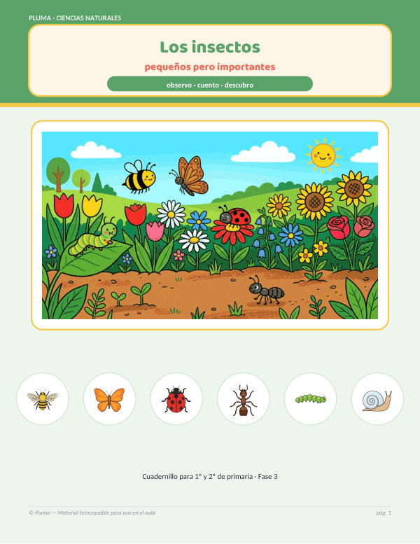Vista previa: Los insectos: cuerpo, patas y metamorfosis