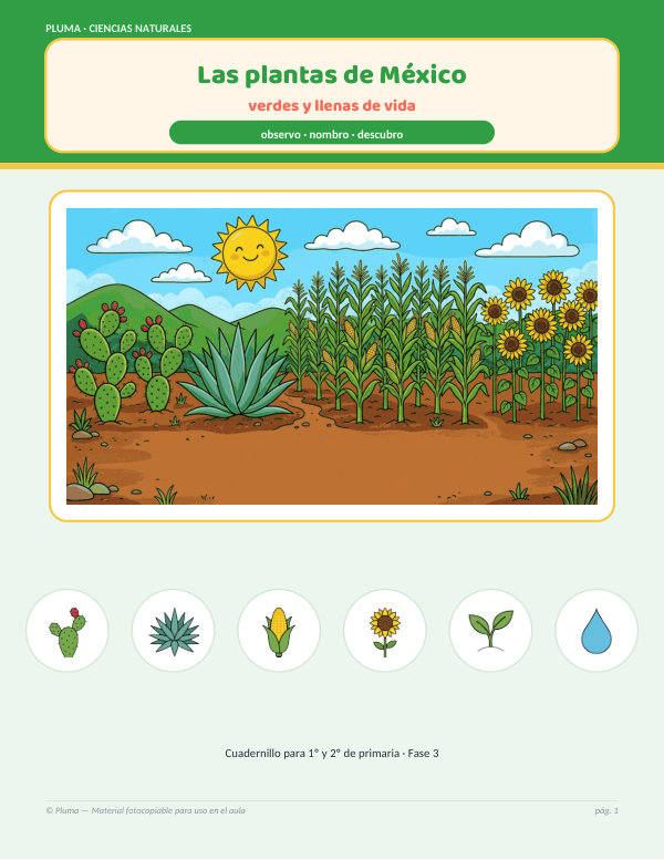 Vista previa: Las plantas de México: partes, nopal, maguey y maíz