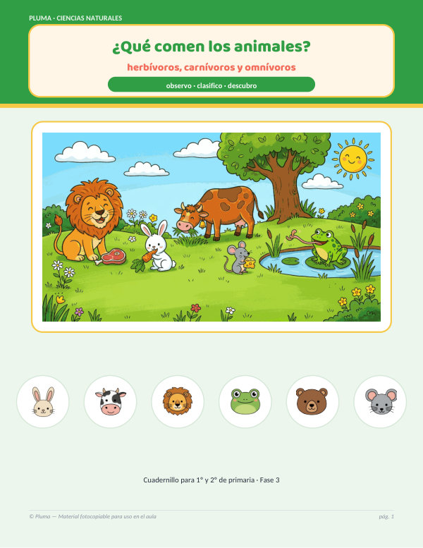 Vista previa: ¿Qué comen los animales? Herbívoros, carnívoros y omnívoros